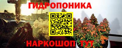 стафф Краснознаменск