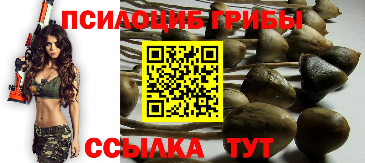 Галлюциногенные грибы ЛСД  Вход с VPN  Карпинск 