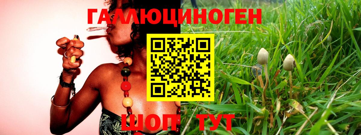Галлюциногенные грибы Cubensis Карпинск